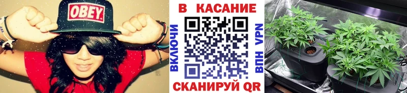 Виды наркотиков купить Электрогорск COCAIN Гашиш МАРИХУАНА