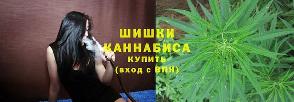 apvp Алзамай