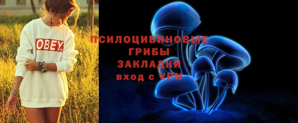 дурь Нягань
