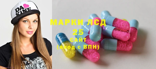 apvp Алзамай