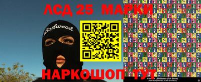 индика Можга