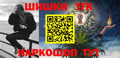 индика Можга