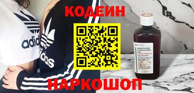 индика Можга