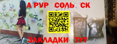 индика Можга