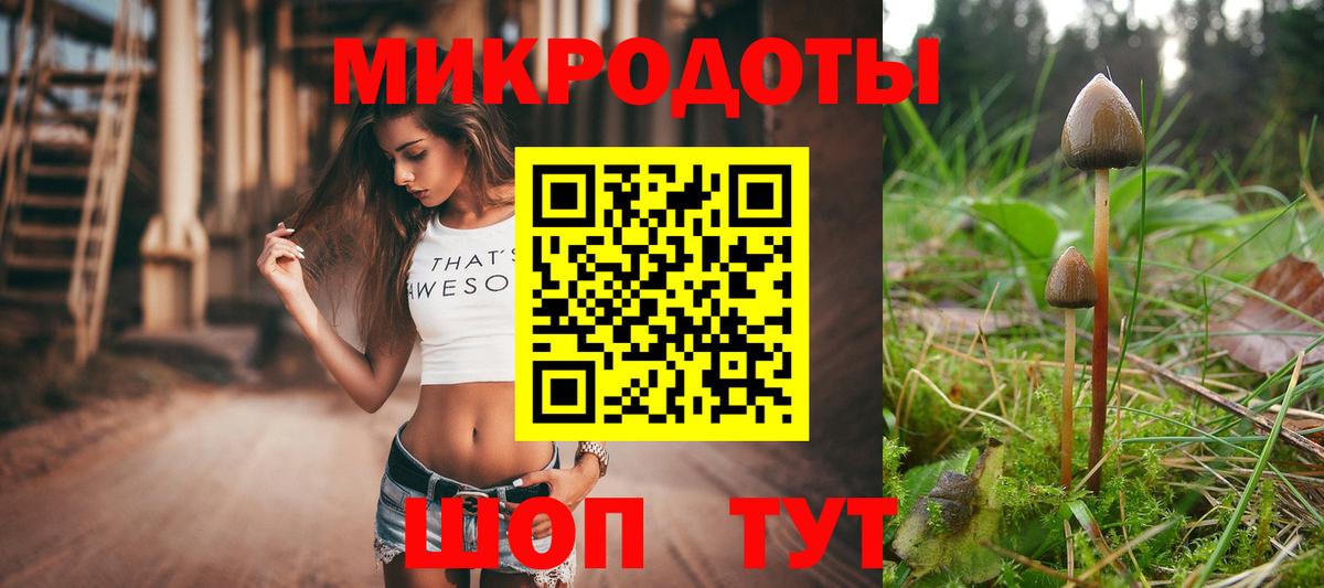 Псилоцибиновые грибы ЛСД  Вход с VPN  Псилоцибиновые грибы GOLDEN TEACHER  Электрогорск 