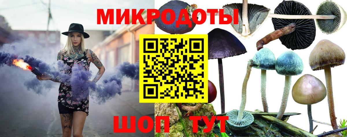Псилоцибиновые грибы Psilocybe Электрогорск
